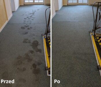 Wykładzina przed i po plamy z moczu